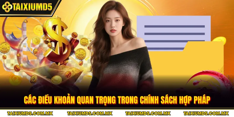Các điều khoản quan trọng trong chính sách hợp pháp