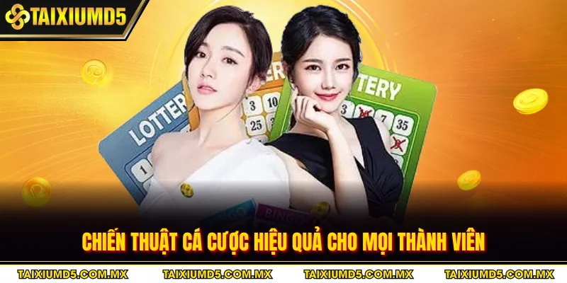 Chiến thuật cá cược hiệu quả cho mọi thành viên