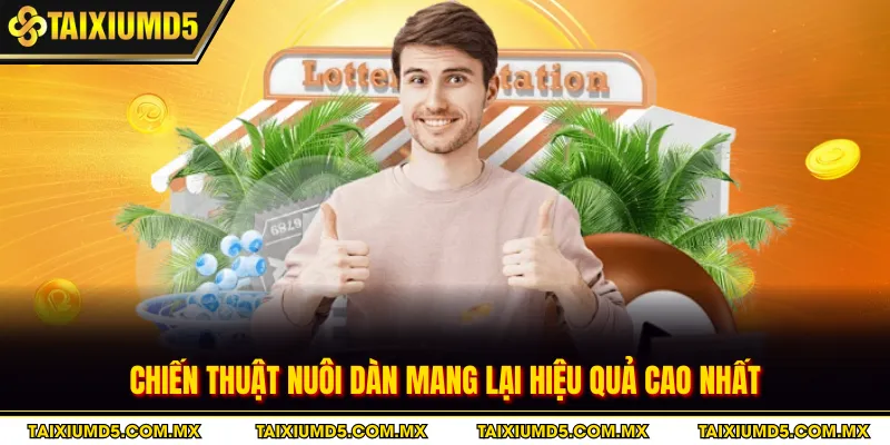 Chiến thuật nuôi dàn mang lại hiệu quả cao nhất