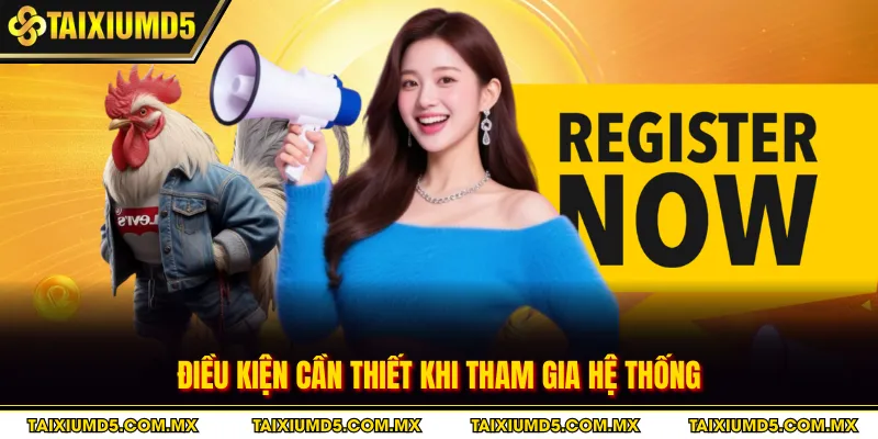 Điều kiện cần thiết khi tham gia hệ thống