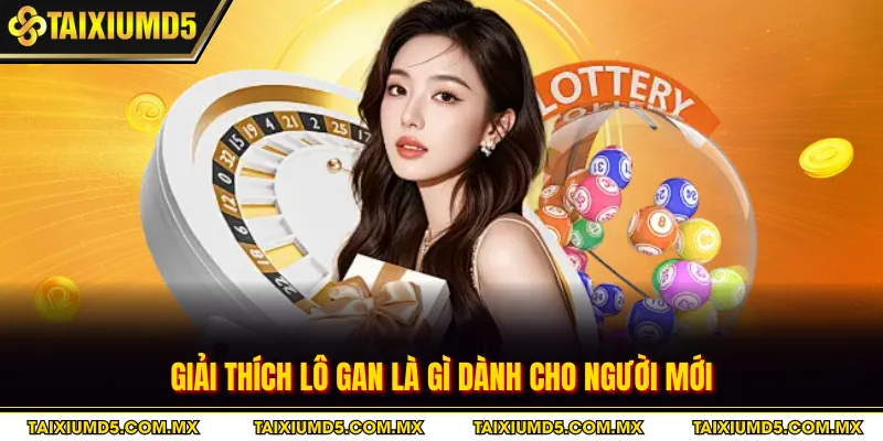 Giải thích lô gan là gì dành cho người mới