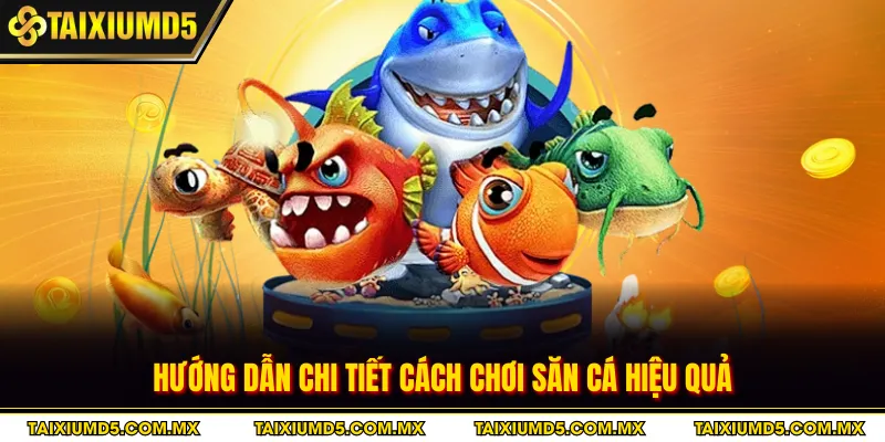 Hướng dẫn chi tiết cách chơi săn cá hiệu quả