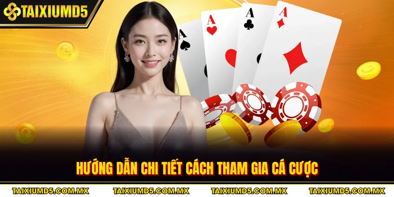 Hướng dẫn chi tiết cách tham gia cá cược