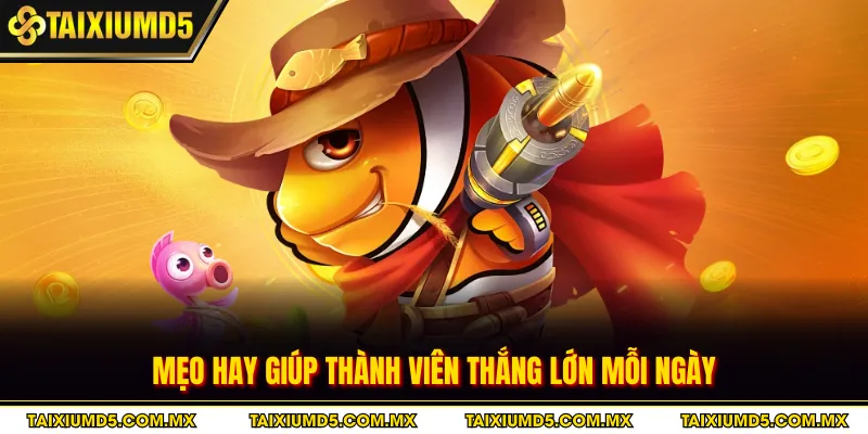 Mẹo hay giúp thành viên thắng lớn mỗi ngày