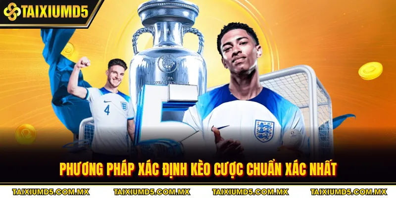 Phương pháp xác định kèo cược chuẩn xác nhất