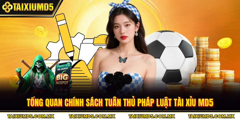 Tổng quan chính sách tuân thủ pháp luật tài xỉu MD5